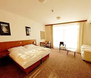 学术及会议中心酒店 罗兹托基 捷克